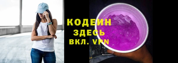 мет Няндома