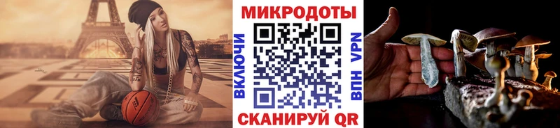 Галлюциногенные грибы прущие грибы  Боровичи 